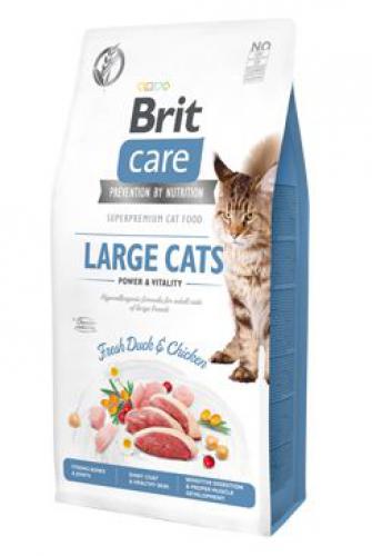 BRIT CARE cat GF LARGE cats power/vitality 2kg EXPIRACE 6/23