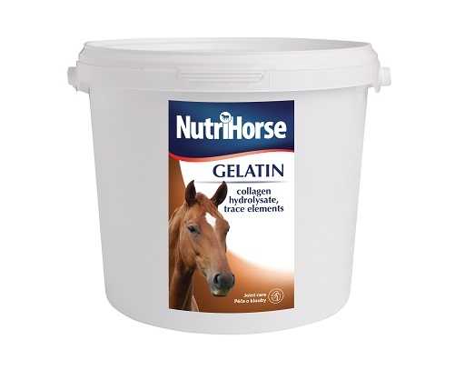 Nutri Horse GELATIN 1 kg - zvìtšit obrázek